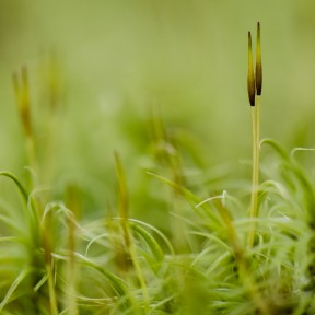 20130427_0190