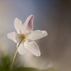 20130428_0369